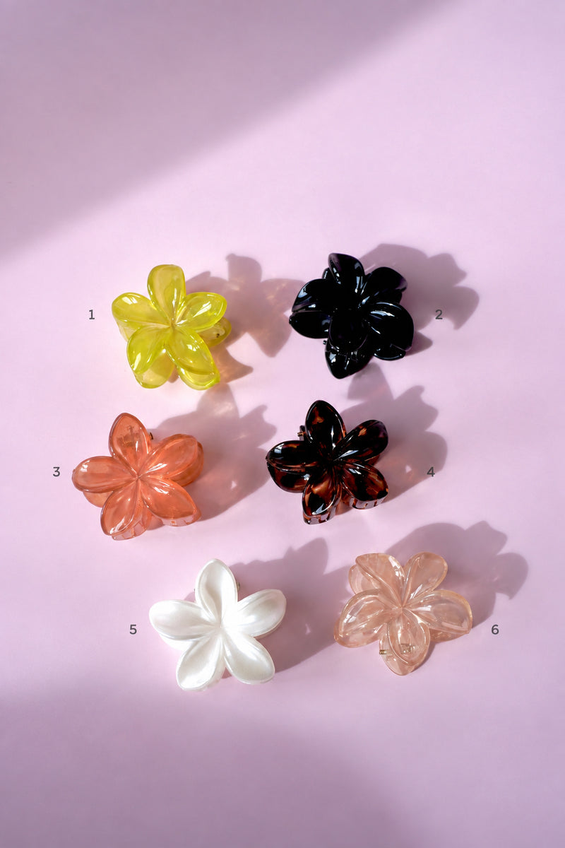 Petite Pince à Cheveux Fleurs 🌸