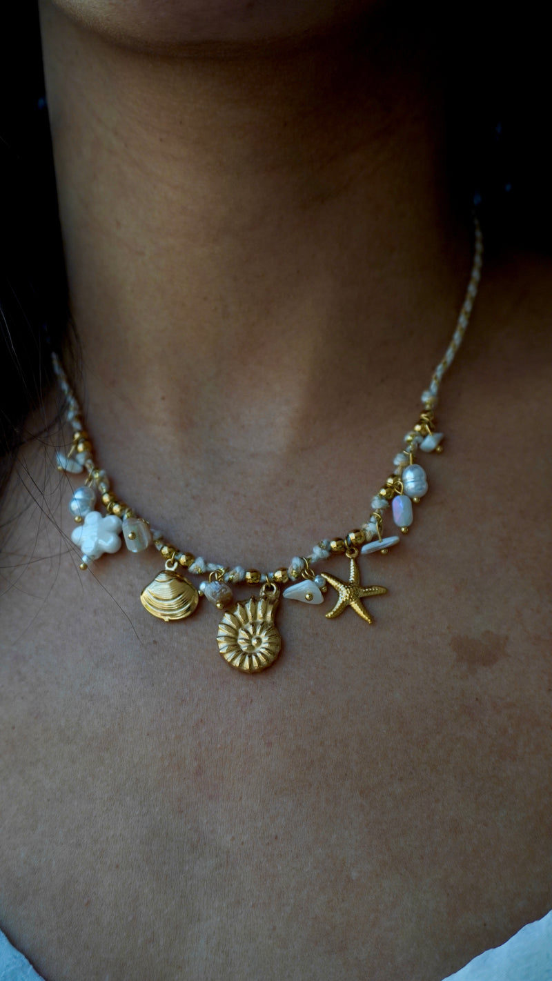 Collier Coquillage