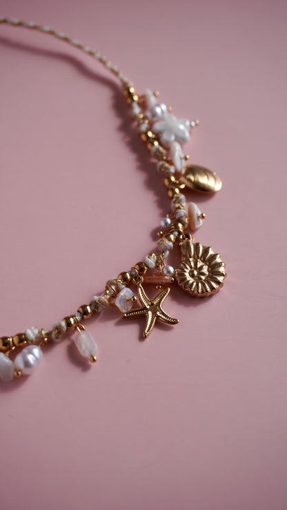 Collier Coquillage