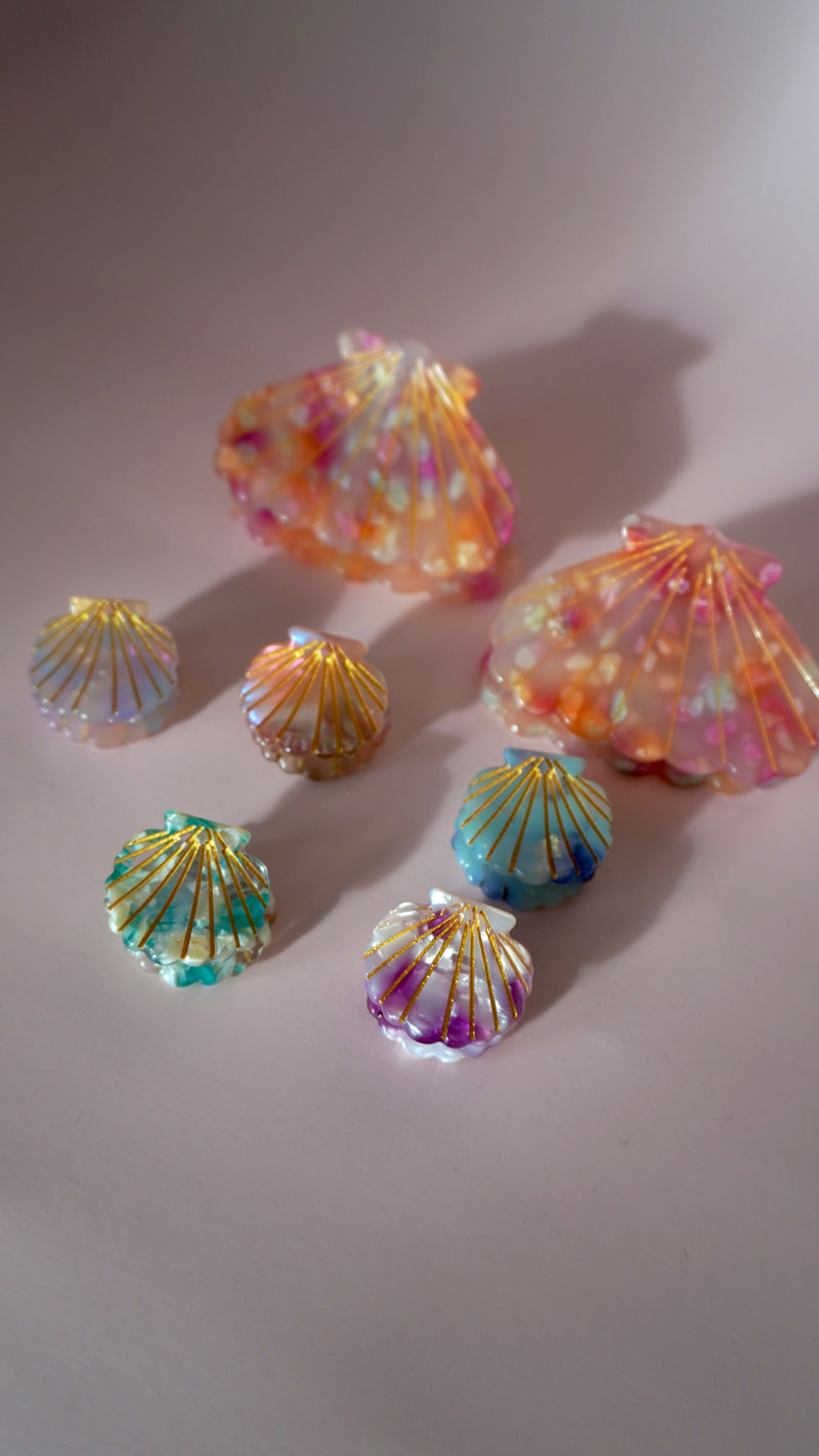 Pince à Cheveux coquillages ✨