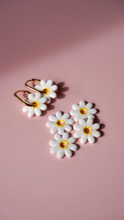 Pampilles marguerites