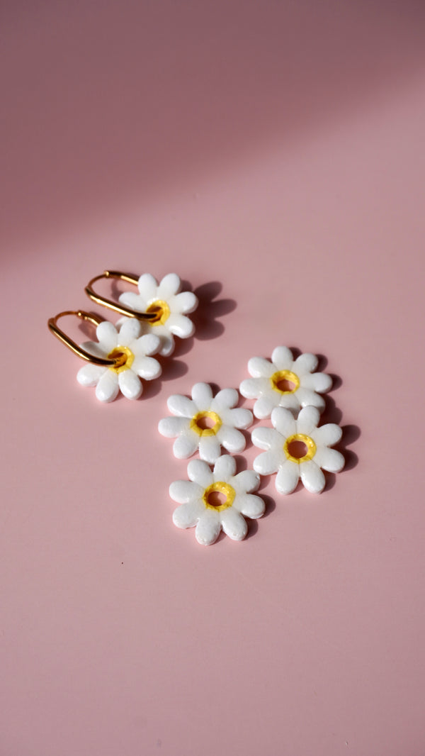 Pampilles marguerites