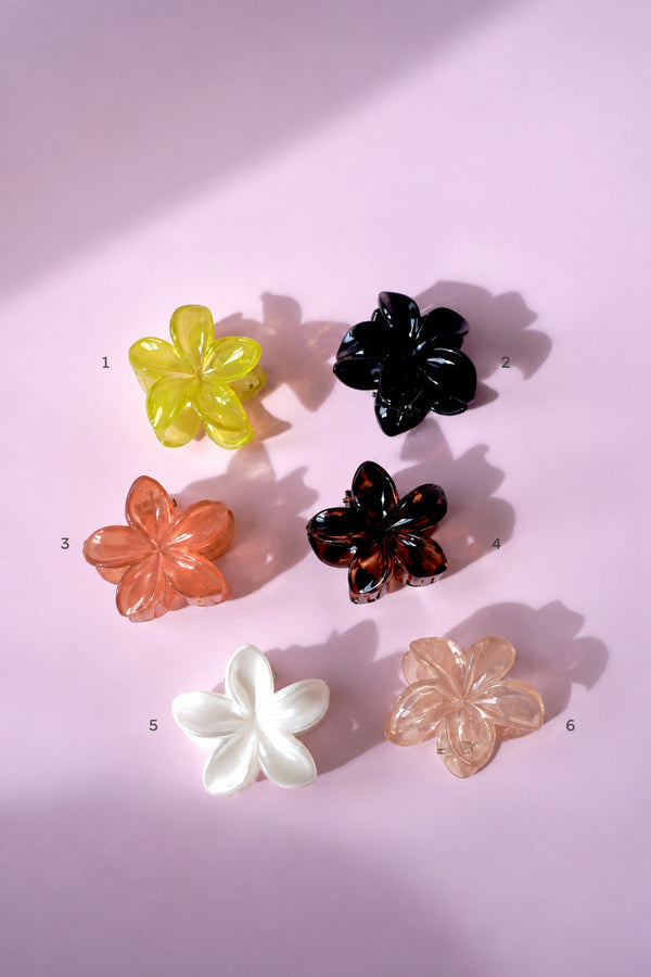 Petite Pince à Cheveux Fleurs  🌸