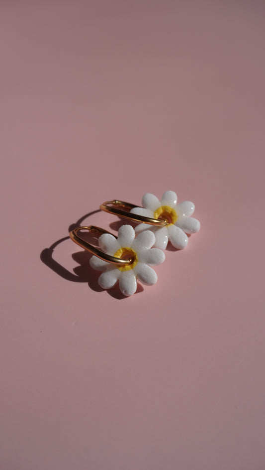 Pampilles marguerites