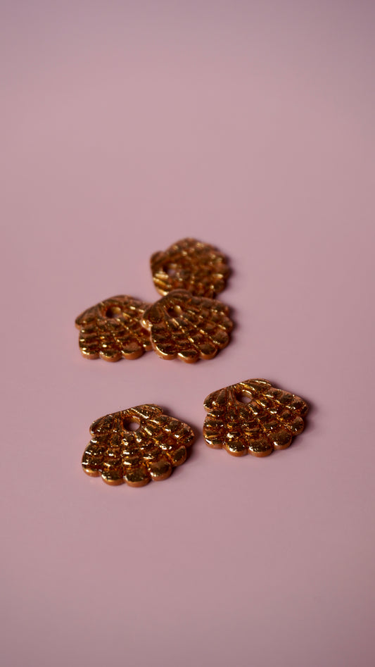 Pampilles coquillages