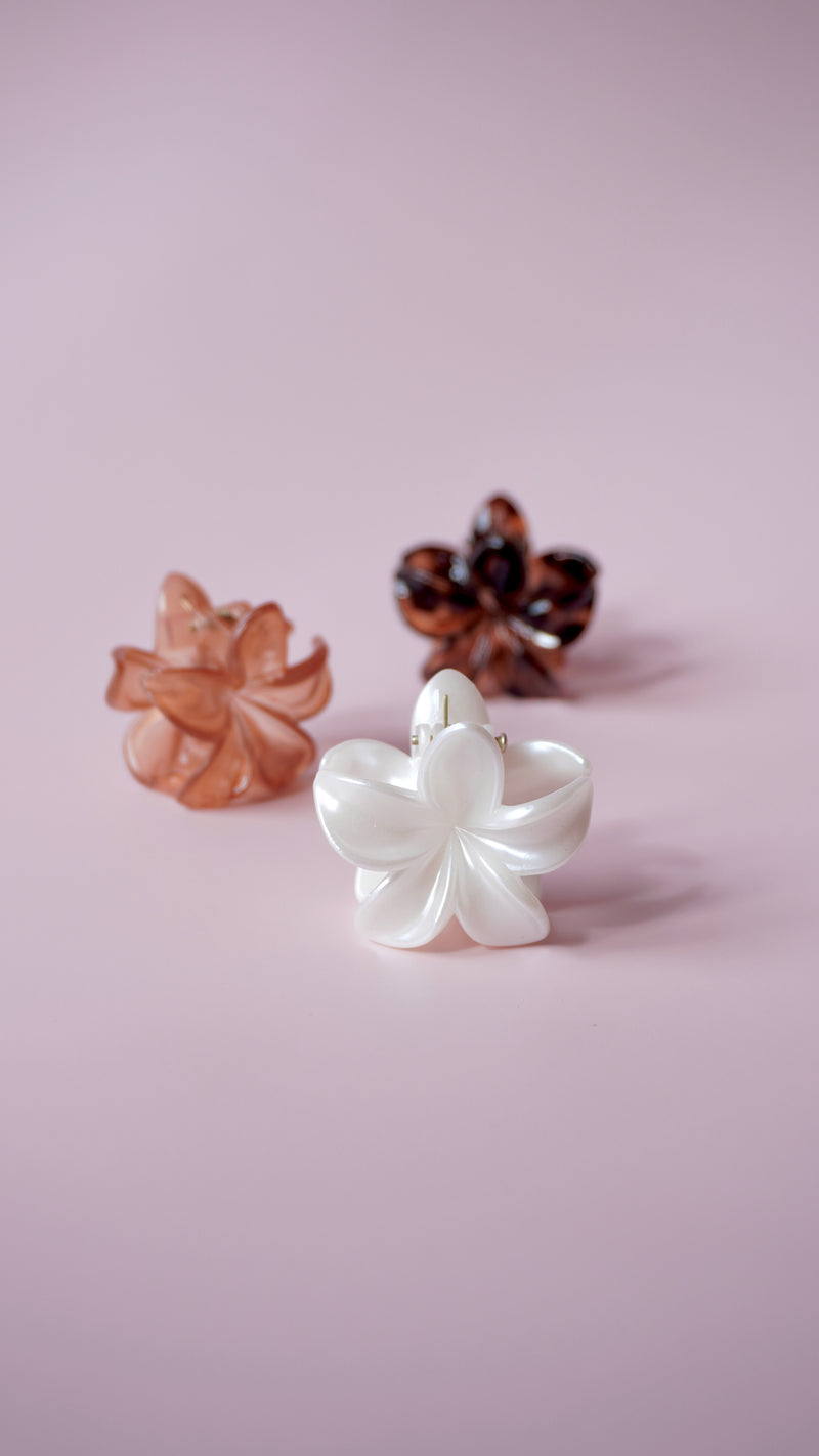 Petite Pince à Cheveux Fleurs  🌸