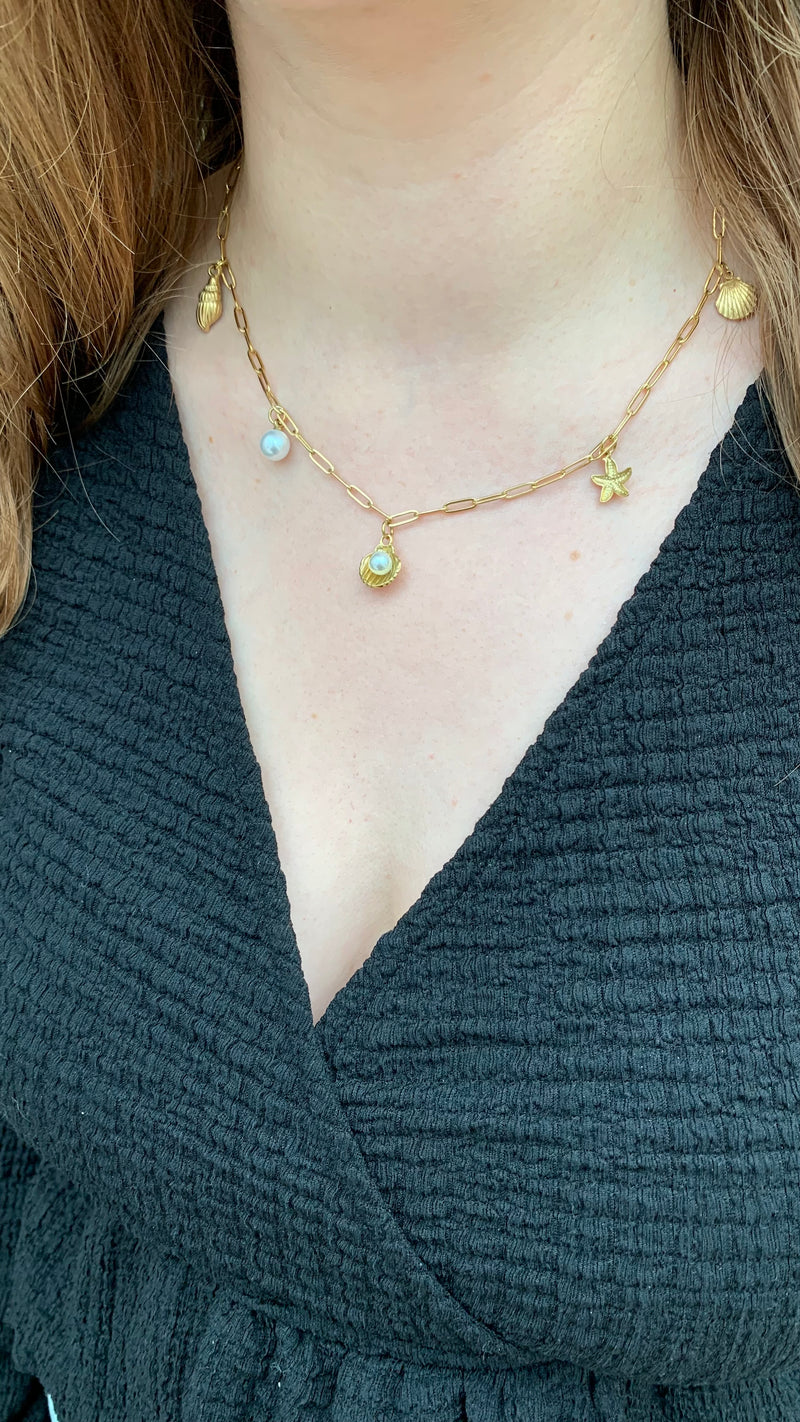 Collier coquillage