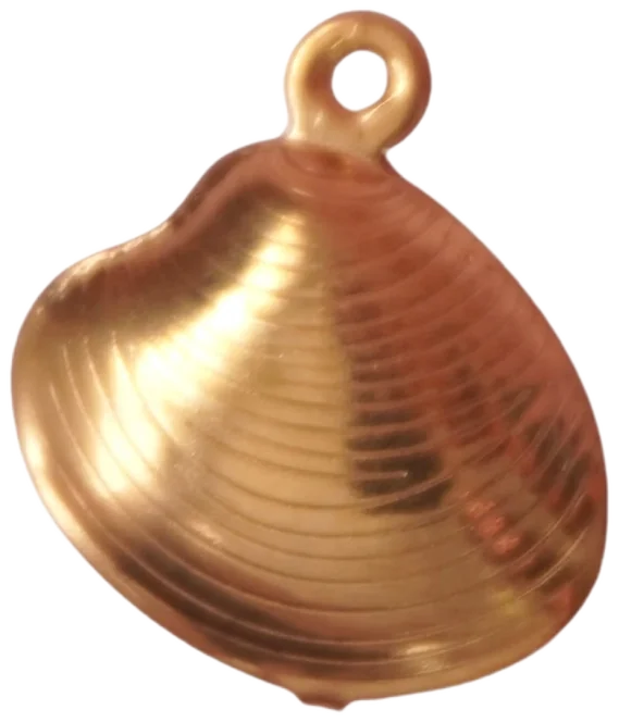 Moyen charms 25